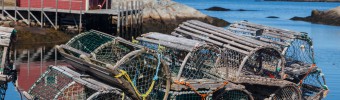 Certification MSC pour les homards de la Nouvelle-Écosse et du Nouveau-Brunswick