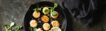 Our scallops – from abundant North American fisheries to your plate