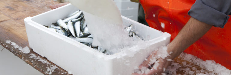 advantages frozen fish
