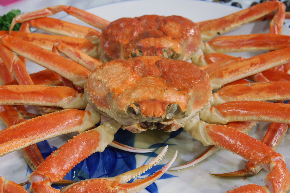 Snow crab