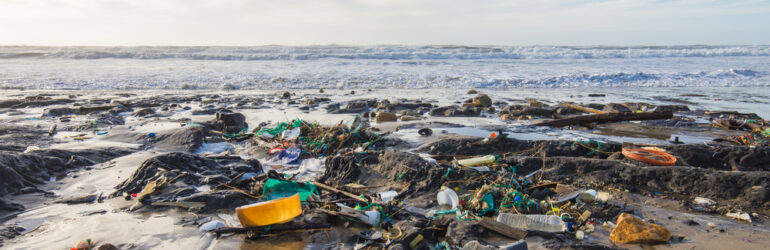 Plastic crisis ocean