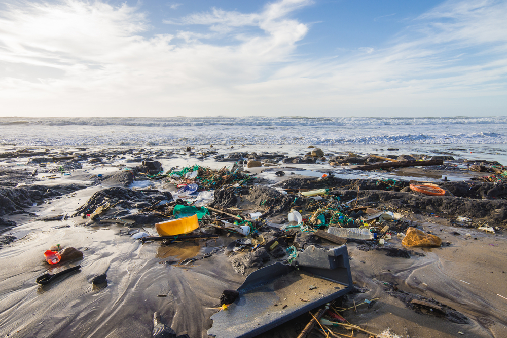 Plastic crisis ocean