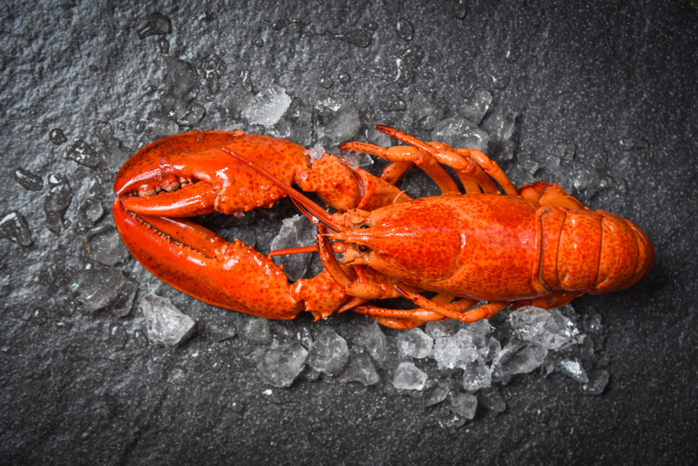 Lobster,Seafood,Shrimp,Prawn,With,Ice,On,Dark,Backgroud,Top