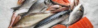 Why fish is so important to global food security